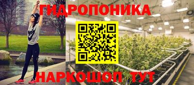 твердый Кингисепп