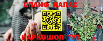 твердый Кингисепп