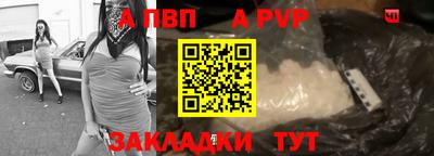 твердый Кингисепп