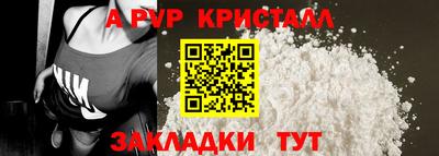 твердый Кингисепп