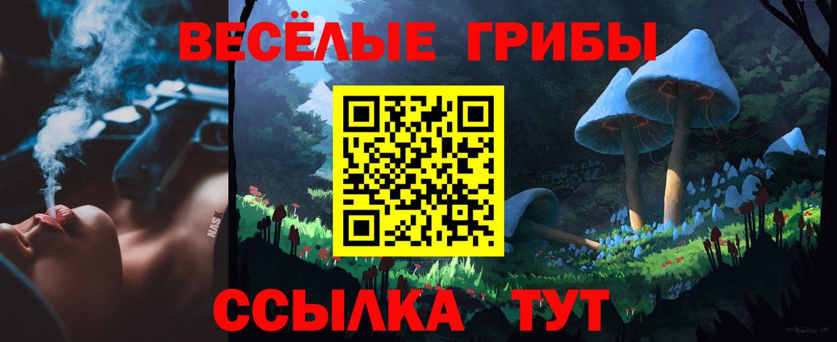 продажа наркотиков  Галлюциногенные грибы Psilocybine cubensis  Вход с VPN  Галлюциногенные грибы GOLDEN TEACHER  Звенигород 